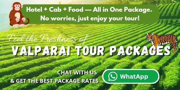 Tour Package Ad