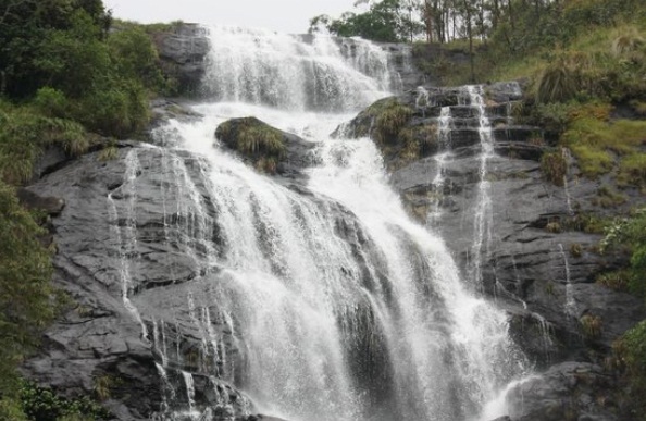 Cochin–Munnar-Valparai Tour Package