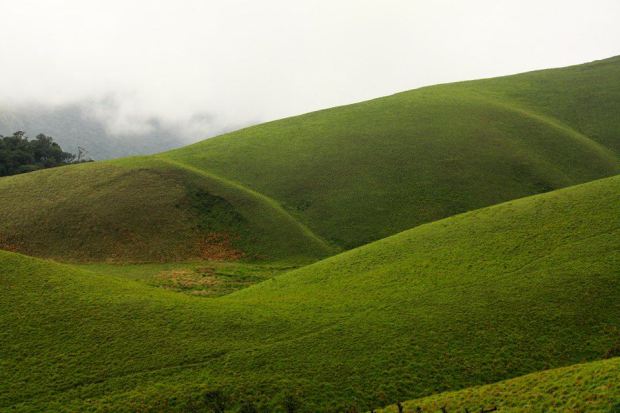 Munnar-Valparai-Ooty Tour Package